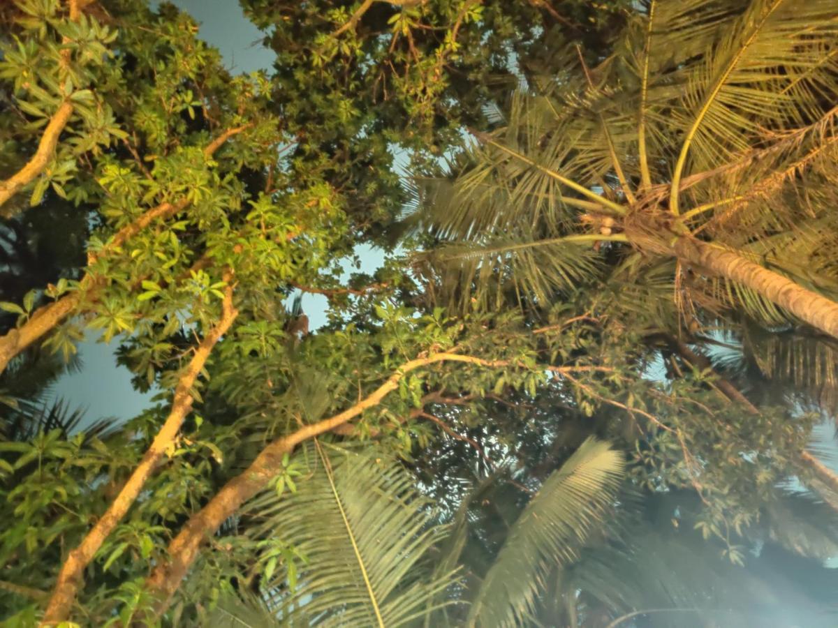 Namahstay Eco Hostel & Coworking & Art Community Space Arambol Buitenkant foto