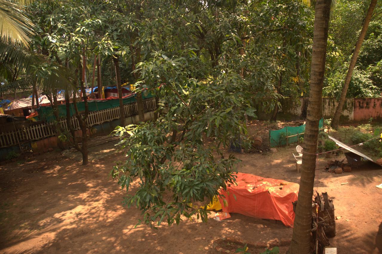 Namahstay Eco Hostel & Coworking & Art Community Space Arambol Buitenkant foto